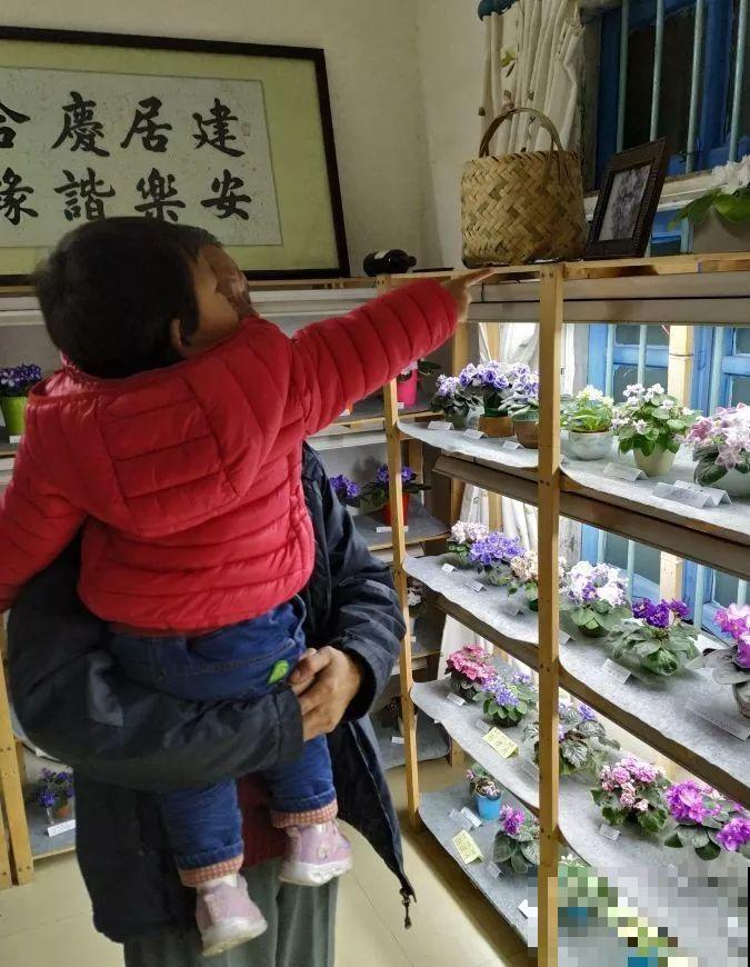 最耐阴的花就是它，光线弱也能开爆盆，越养越上瘾！