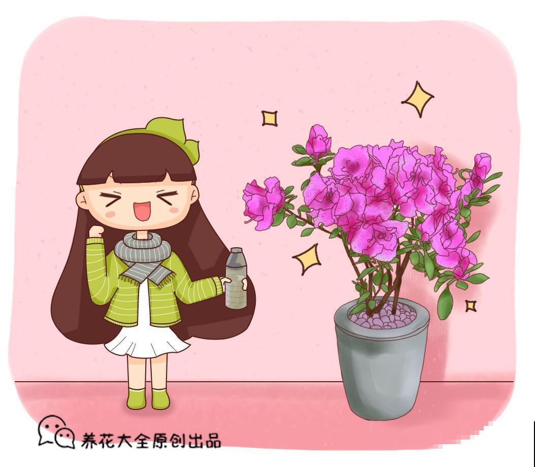 这些花爱喝酒，往上加点，家里的植物就大变样！