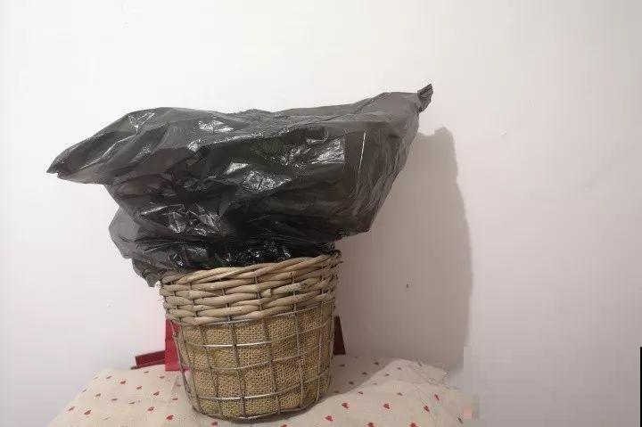 长寿专门的催花小技巧，套个塑料袋，不用一月就窜花苞！