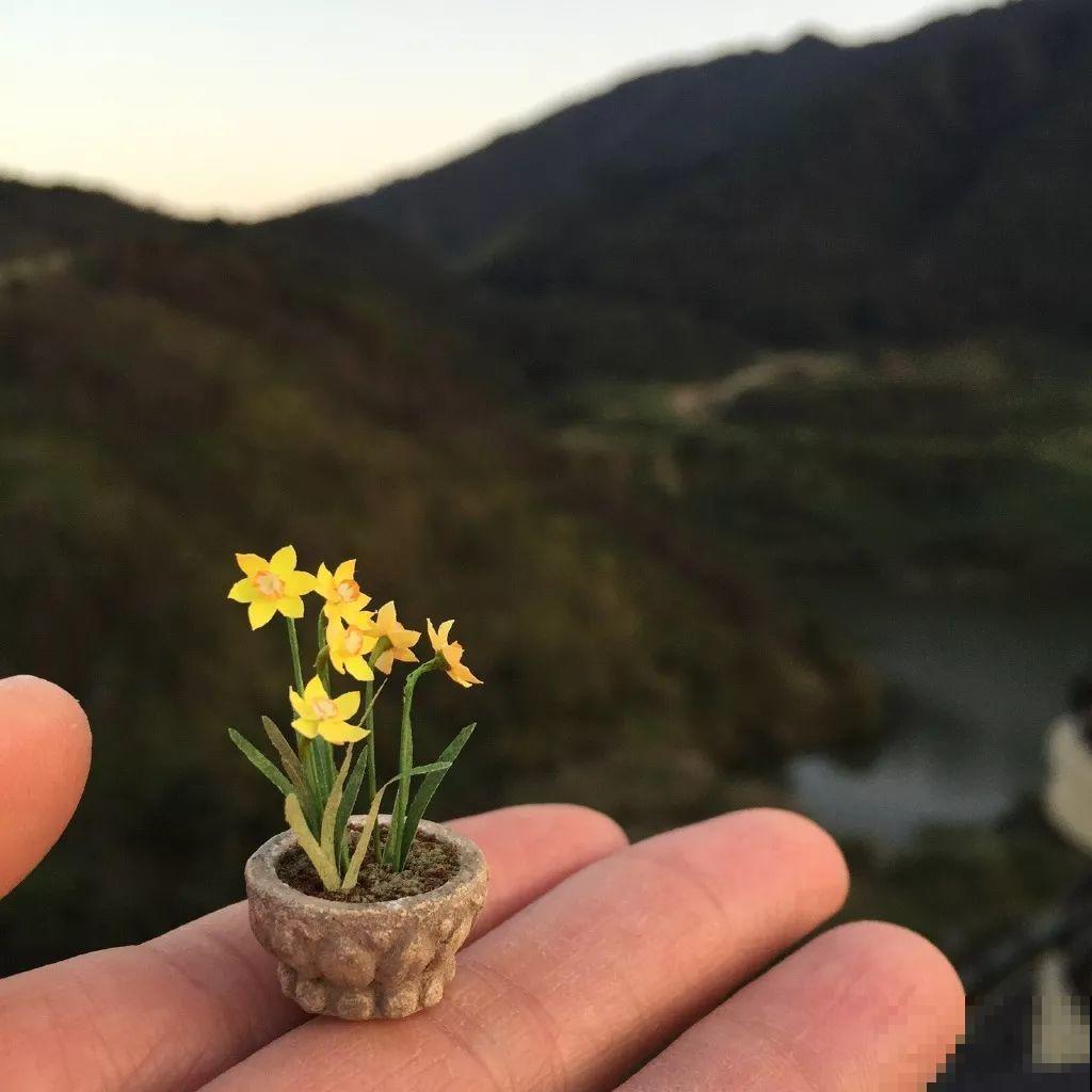 中国最小的院子，养花喝茶一辈子，人生岂不乐哉！