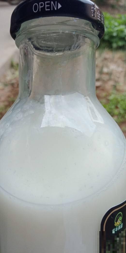 除了啤酒和淘米水，这些东西也可以用来浇花，方便极了！