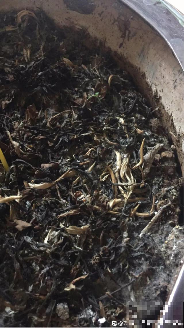 旧土也有新用处，看完涨姿势，少走冤枉路