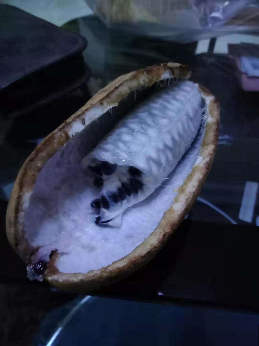 这野果是80后的最爱，个头大还美味，山上转一圈能摘一大筐！
