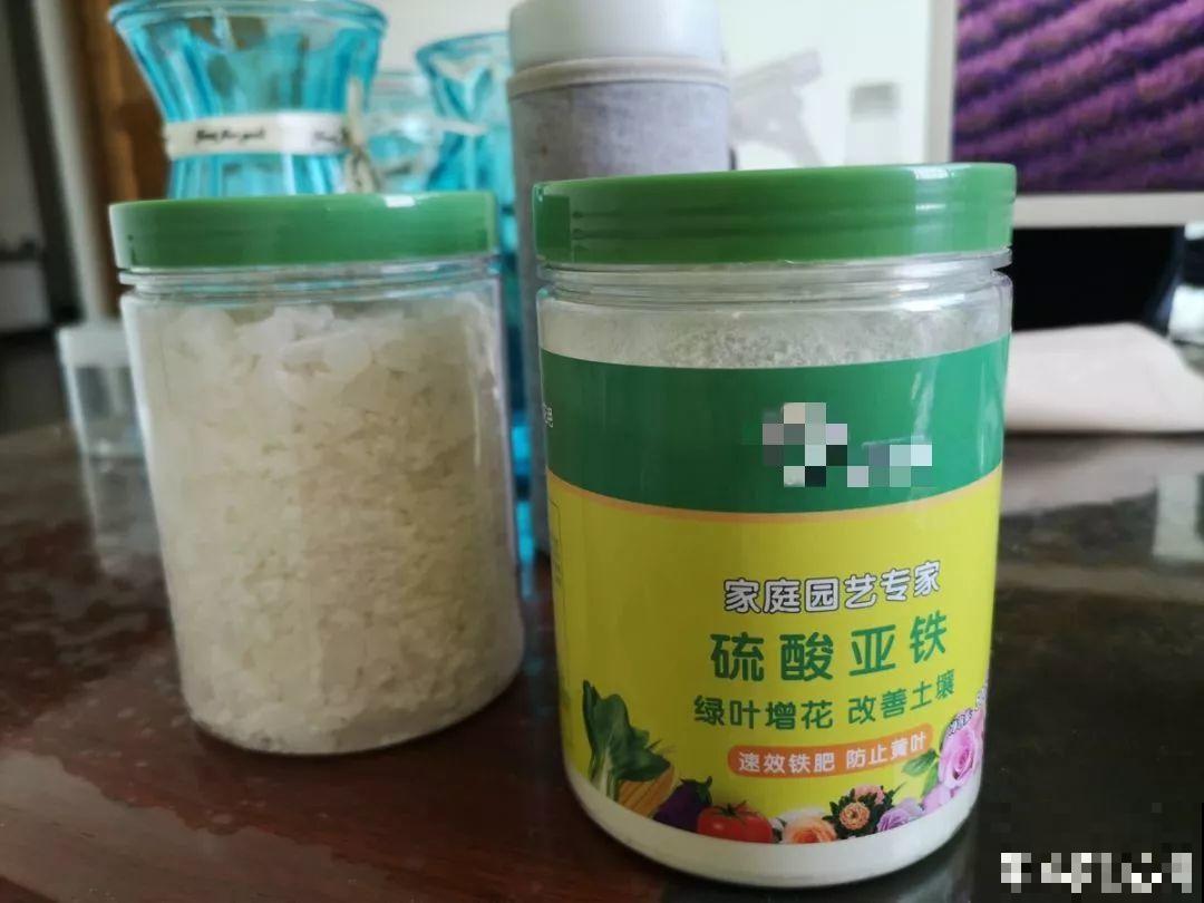 浇水掺点它，不黄叶不烂根，花越长越旺！