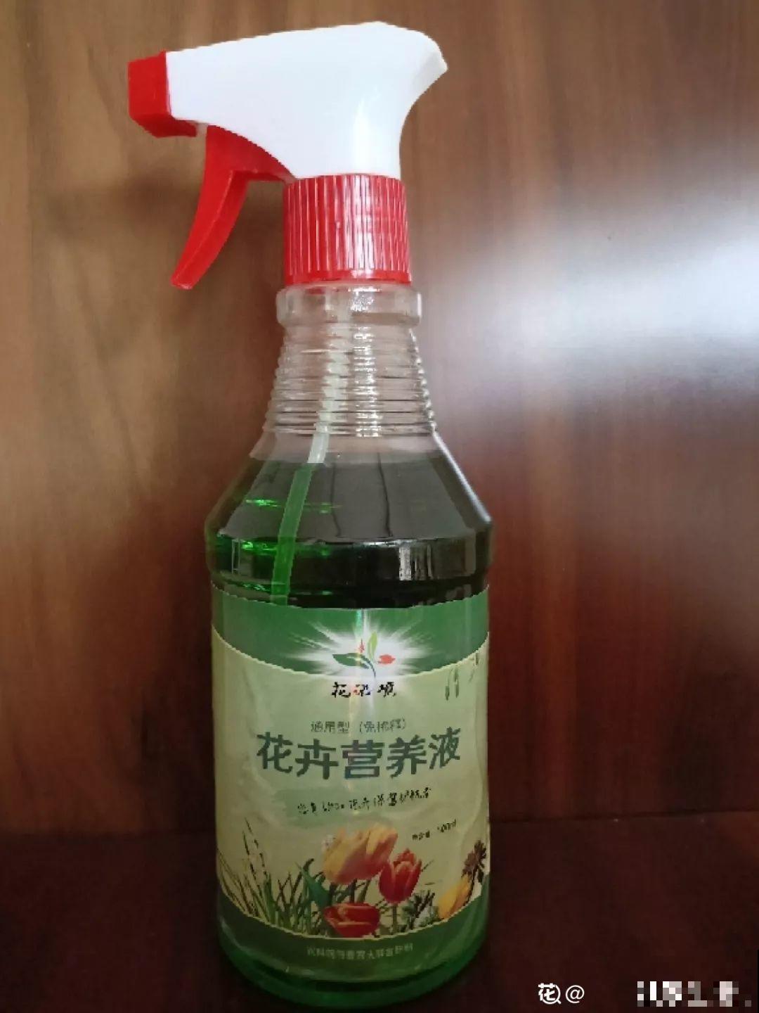养花离不了它，兑水一浇，生长速度快2倍！