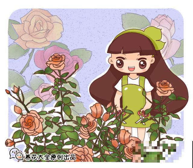 你还在担心植物营养不良？选对了品种，植物轻轻松松过两米