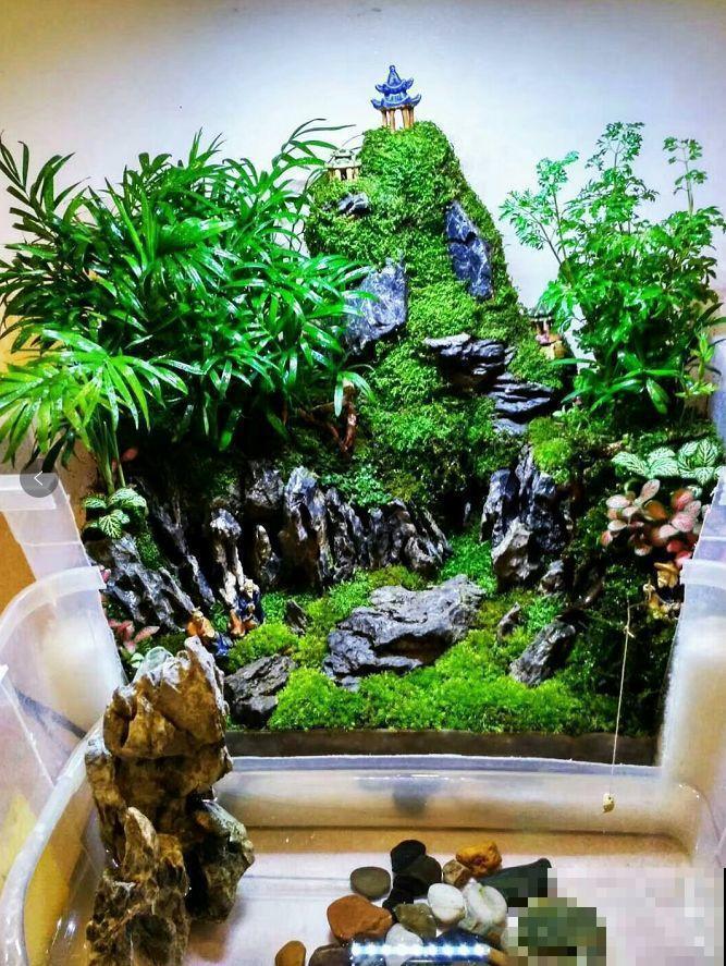 16岁男孩，为重病奶奶建花园，2年种了上百盆花！