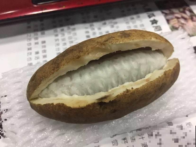 这野果是80后的最爱，个头大还美味，山上转一圈能摘一大筐！