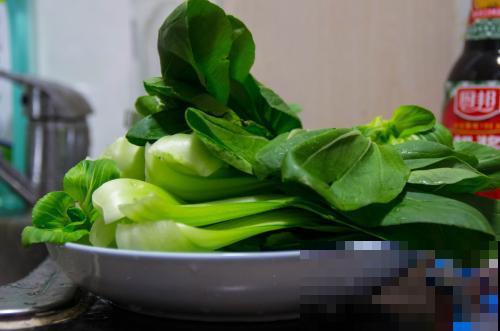 秋天立马种油菜，抗冻还长得快，今年又省一大笔买菜钱啦！