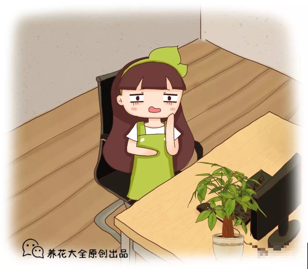 在家养花，这4点得弄明白，不然啥花也能毁在你手里！
