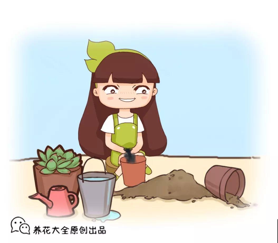 它是养花万能土，松软像发糕，这下不用担心板结了！