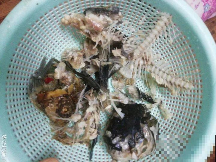 换盆的旧土别扔了，加点它闷一闷，又肥得流油！