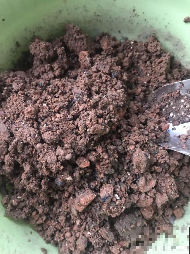 旧土也有新用处，看完涨姿势，少走冤枉路