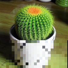 你们家里有养这些绿植吗？净化空气，关键还能护眼！