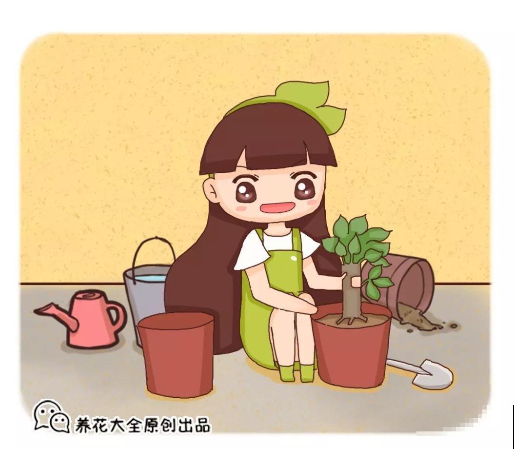 9月养花，6件事趁早做，下半年进入疯长模式！