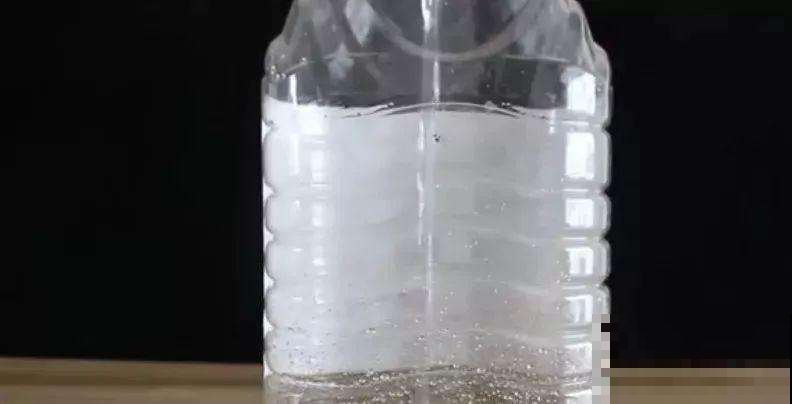 剩下的空油桶先别扔，教你变废为宝，半月不浇水也没事！