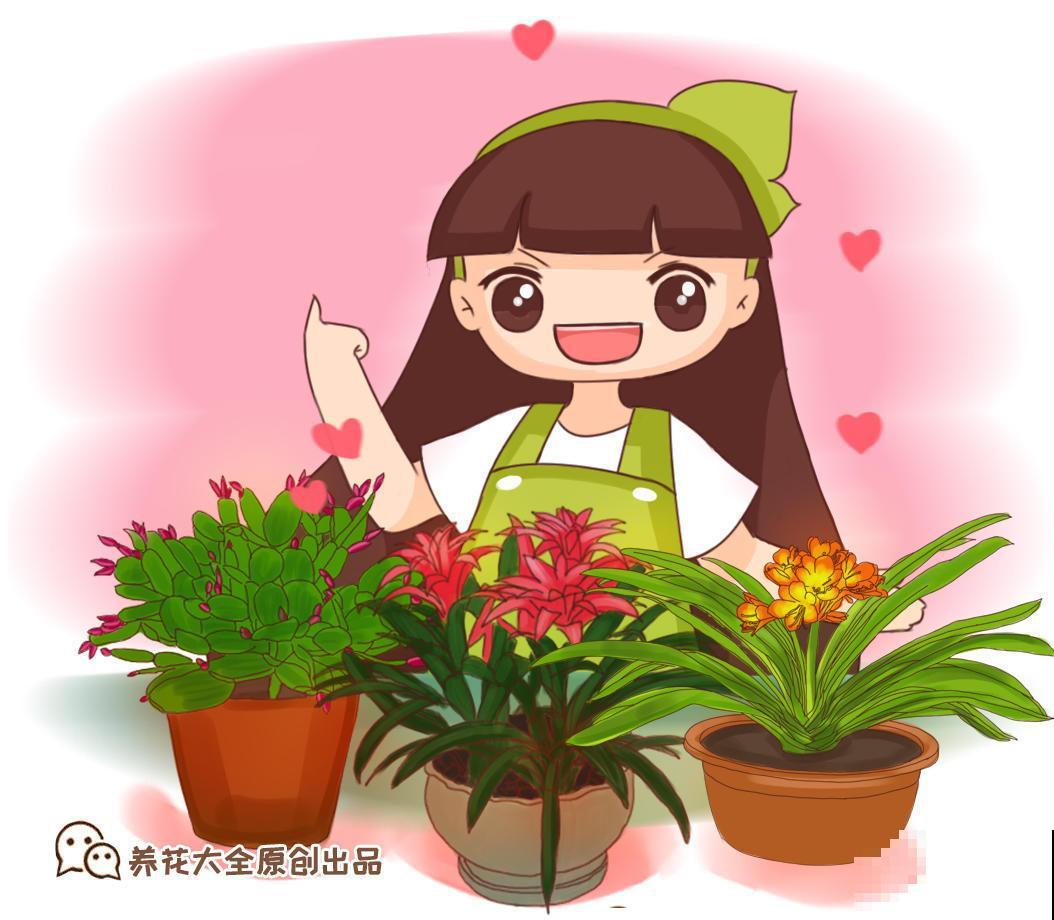 你们家里有养这些绿植吗？净化空气，关键还能护眼！