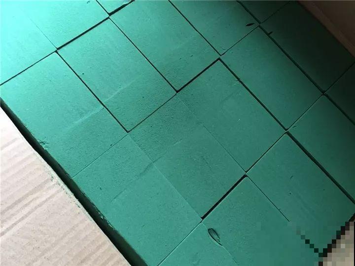 烂根的君子兰砍一刀，放在木屑盆里，蹭蹭长出大白根！