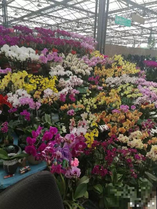 旧土也有新用处，看完涨姿势，少走冤枉路