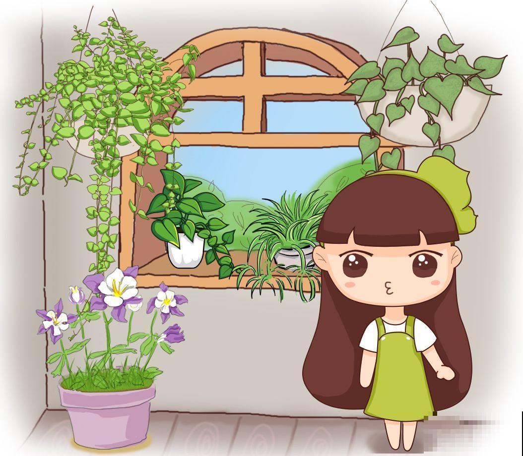 这6种盆景，春夏观花秋冬赏果，越养越值钱！