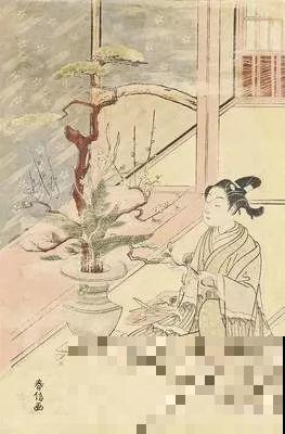 几百年前的催花术，一直延续到现在，开花能开小半年！