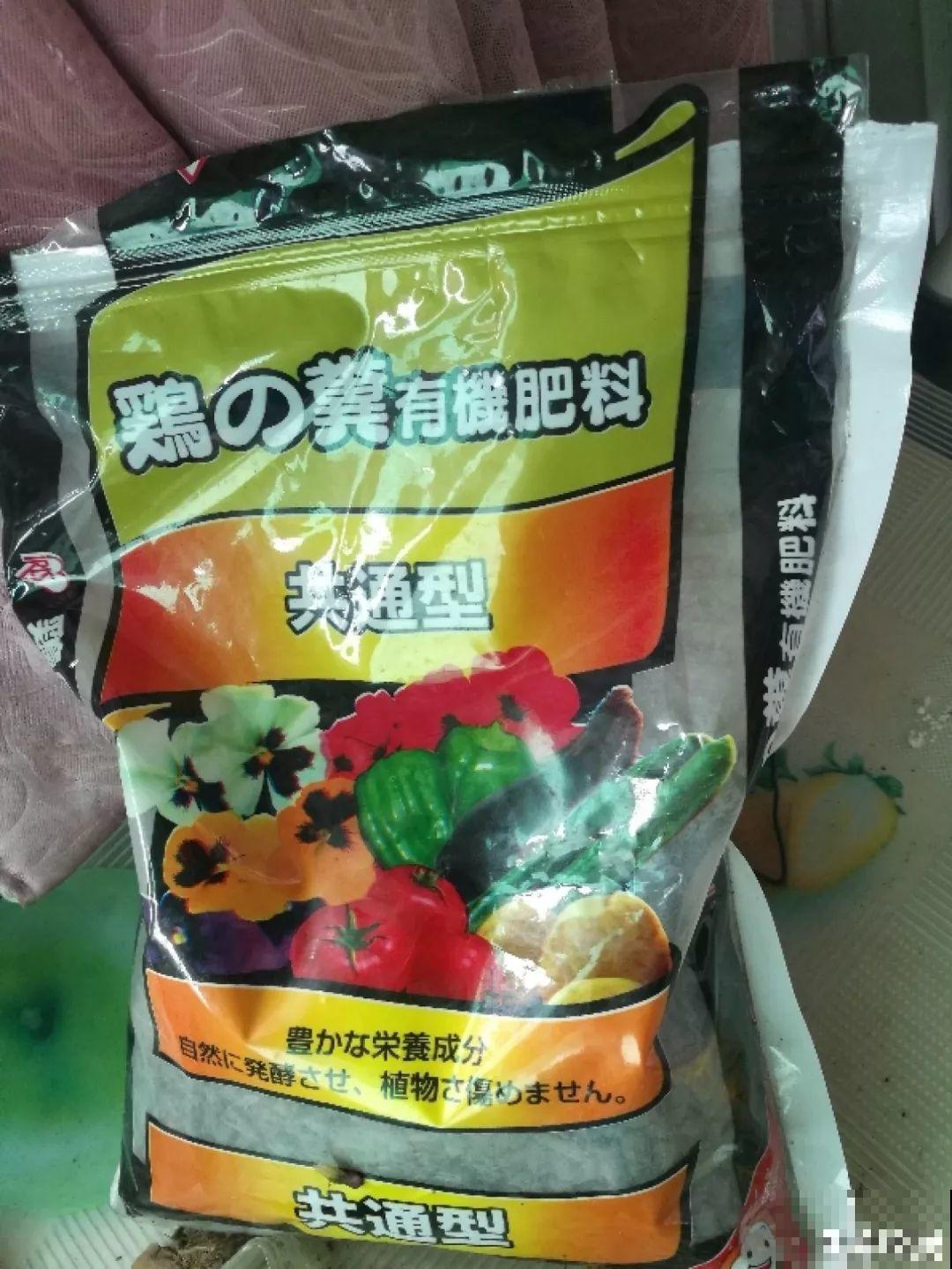 盆土硬成大疙瘩，浇点松土剂，立马软得像发糕！