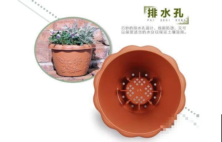 花盆选错了，别指望养好花，再好养的都不行！