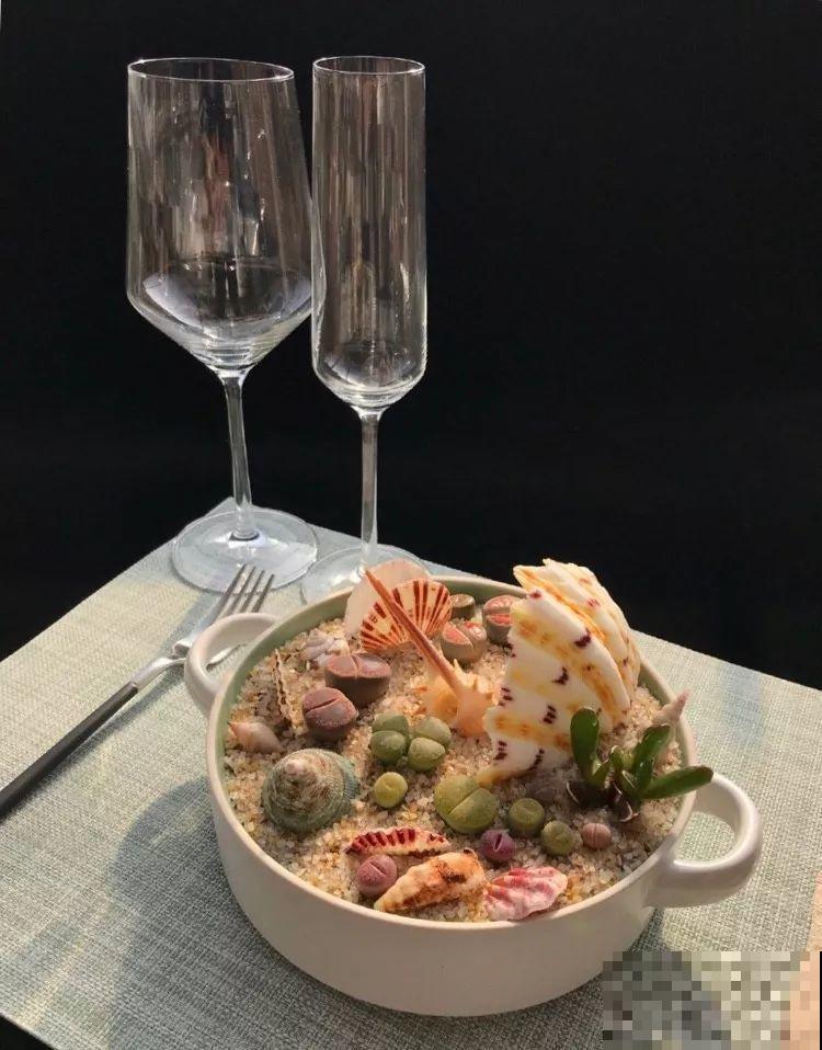 厨师改行养多肉，色香味俱全，真想让人一口吃掉！