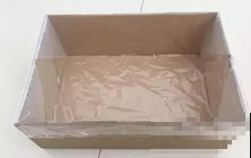 鞋盒原来也是养花一绝，能栽花种菜和沤肥，又省了好几百块钱！