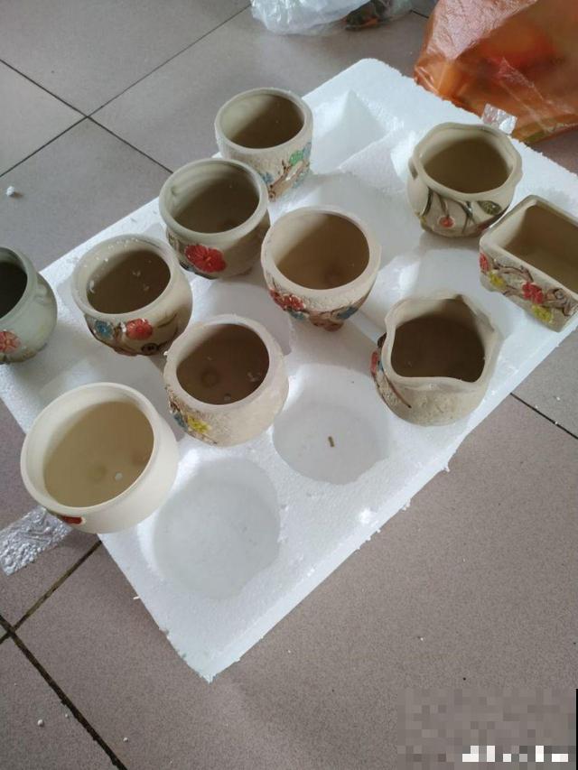 多肉用啥盆？先看根长什么样，免得一浇水就烂根！