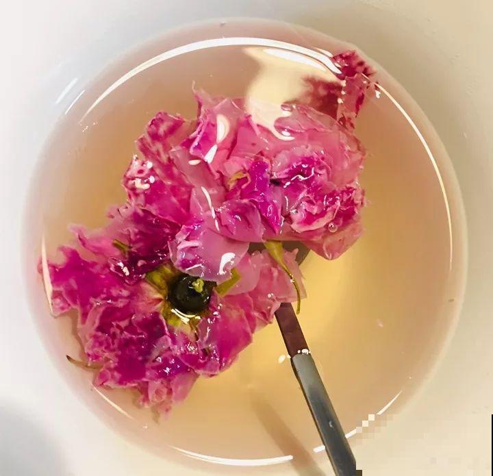 这才是真正的玫瑰，阳台养一盆，花一剪还能做花茶！