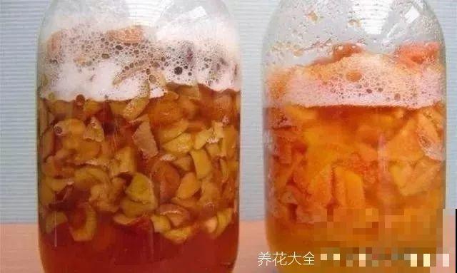 浇水掺点它，不黄叶不烂根，花越长越旺！