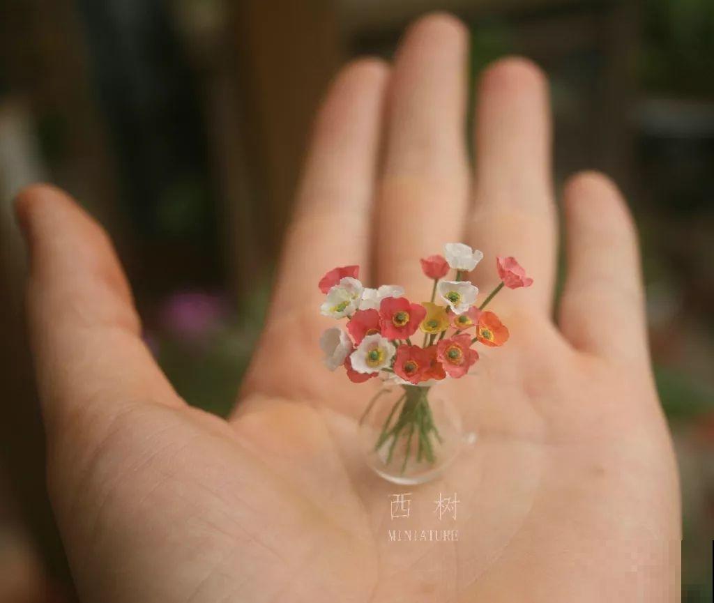 中国最小的院子，养花喝茶一辈子，人生岂不乐哉！
