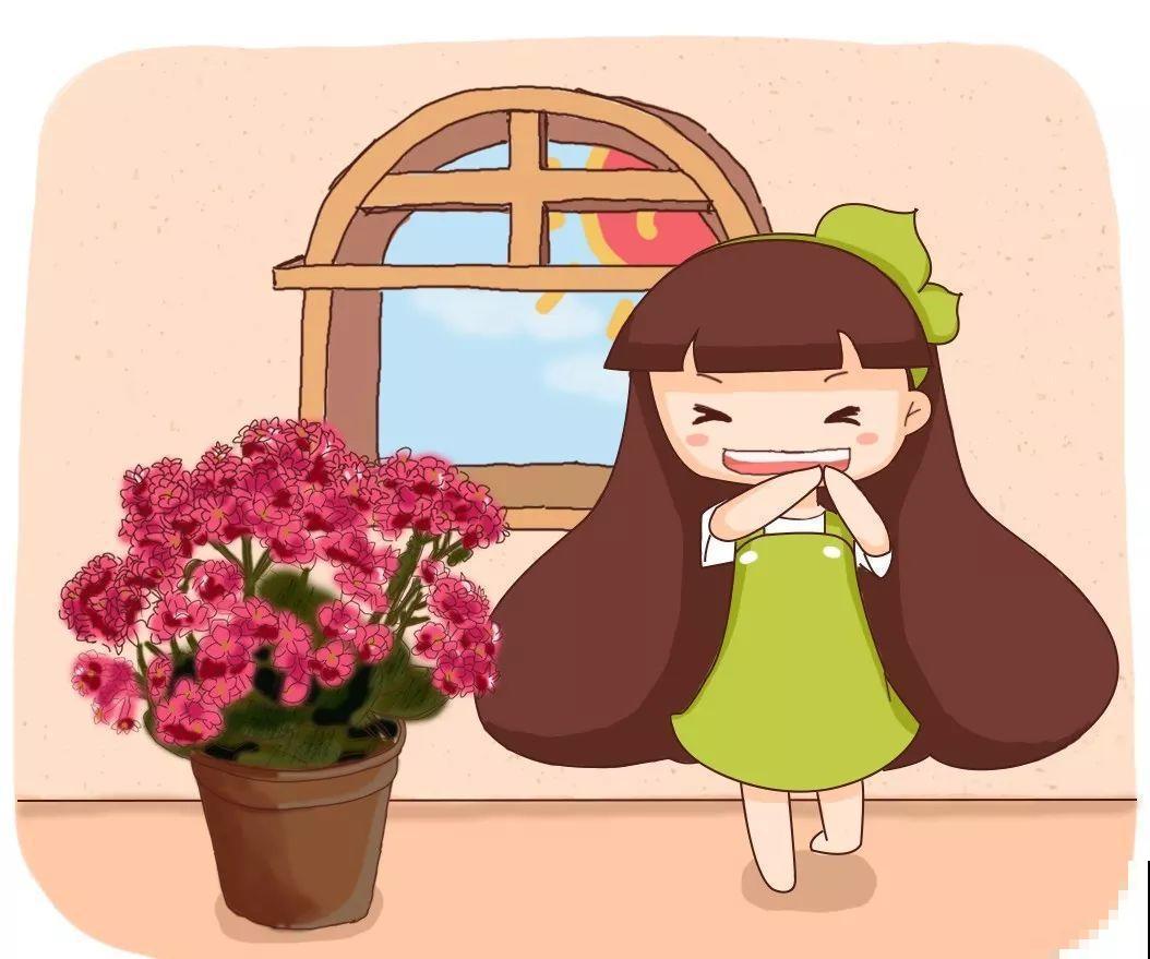 长寿花剪一刀喂点肥，花苞蹭蹭冒，叶子油绿又茂盛！