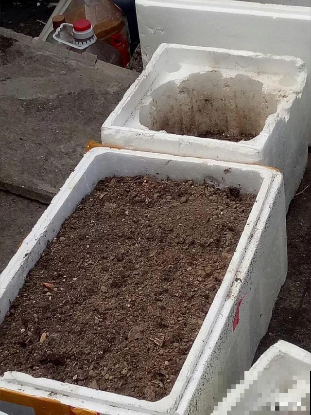 旧土也有新用处，看完涨姿势，少走冤枉路
