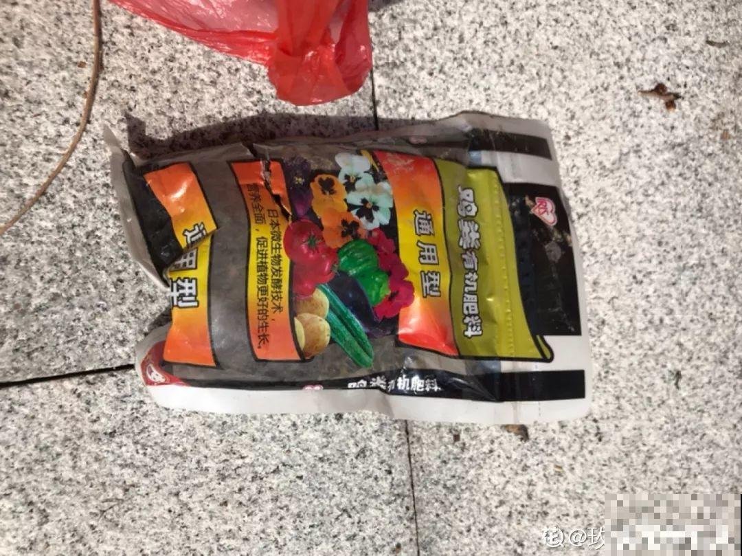 在家养花，这4点得弄明白，不然啥花也能毁在你手里！