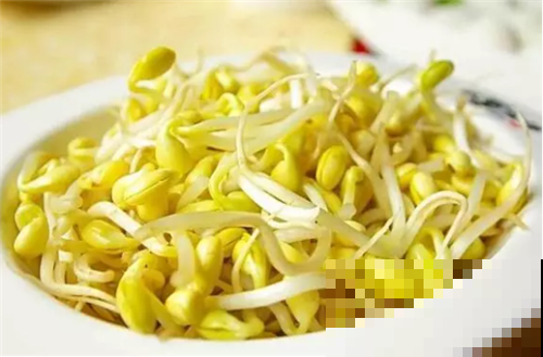 家里有黄豆，自己闷，就能闷出豆芽菜！