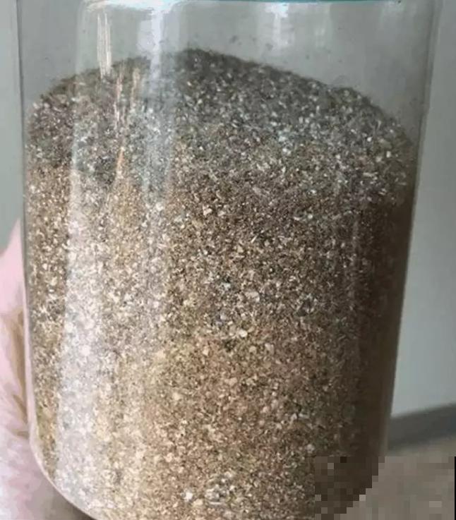 海鲜别光自己吃，把壳一处理，拌土里透气还在增肥！