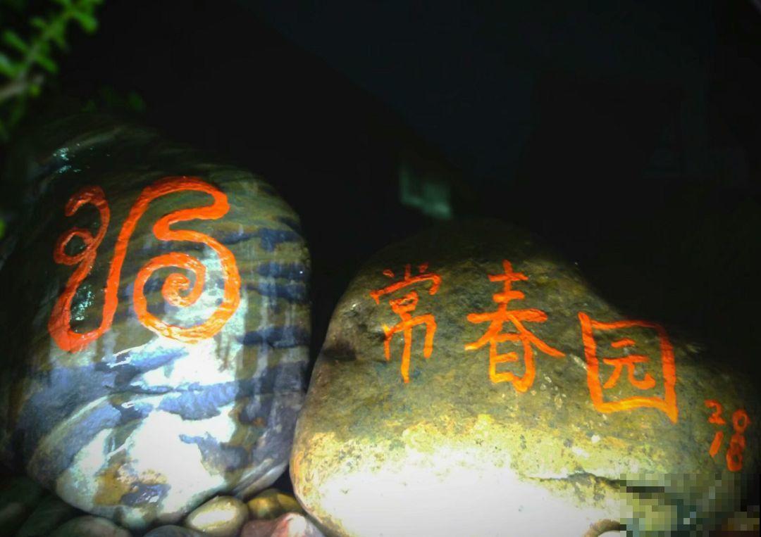 16岁男孩，为重病奶奶建花园，2年种了上百盆花！