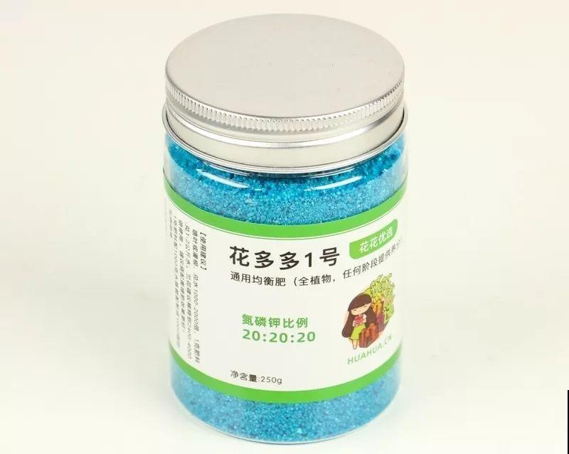 蟹爪兰也有假？买花时睁大眼，小心被骗！