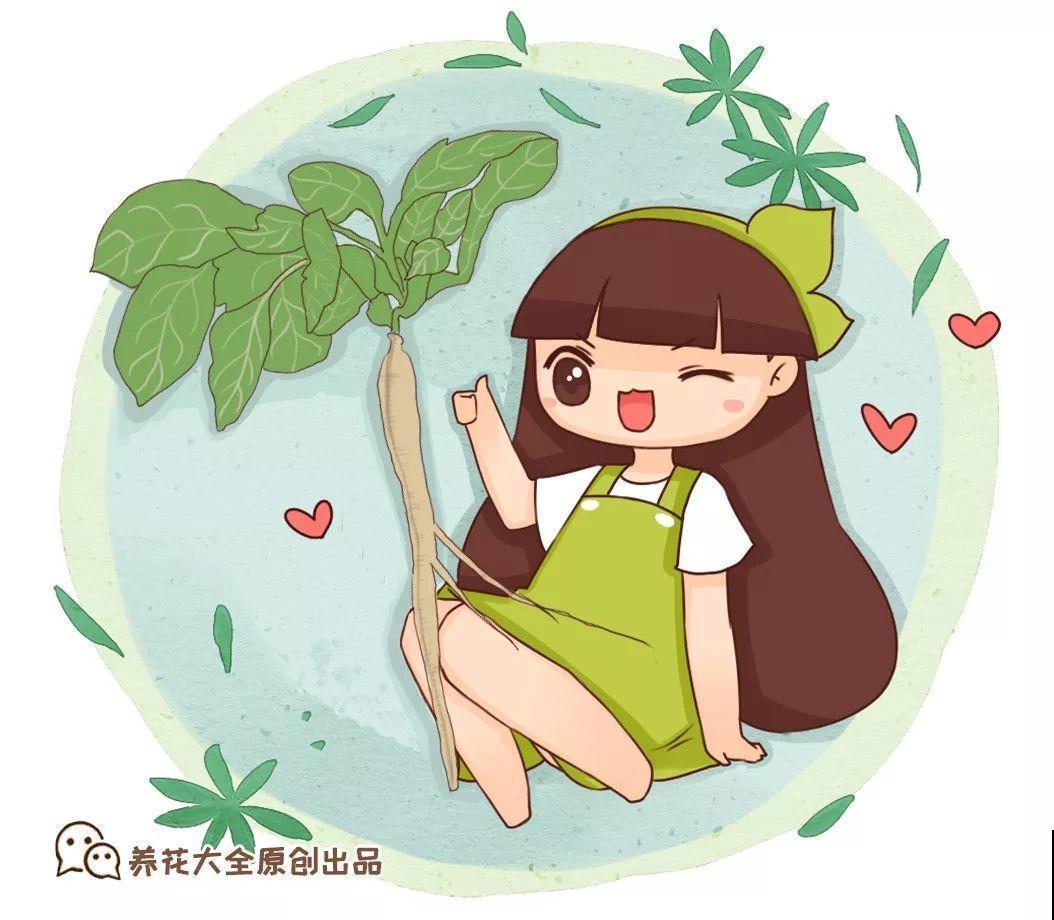 扔路边没人要的花，搬回家剃个头，俩月养成摇钱树！