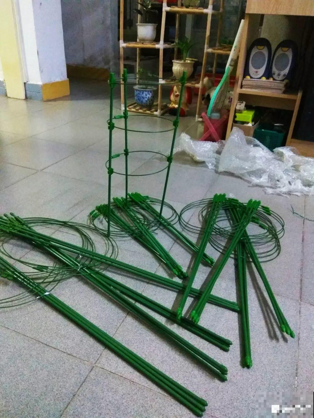 阳台别晾衣服了，用这个方法养花，一下子多出30盆！