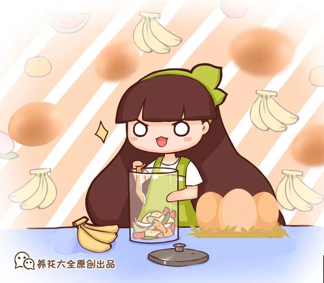 路边捡点它，开水里一烫捂2周，比淘米水肥效果还高！