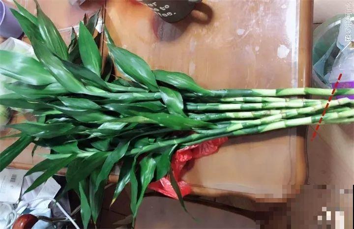 这花寓意极好，十块钱一捆，插水里就能活！