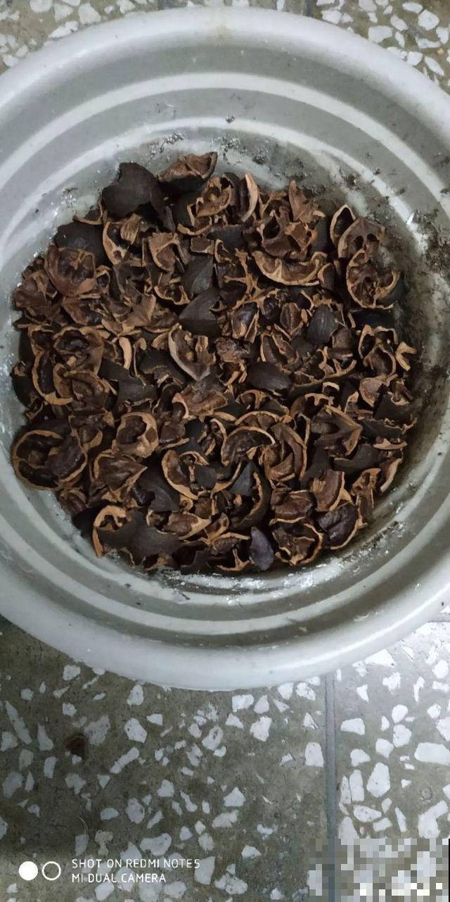 旧土也有新用处，看完涨姿势，少走冤枉路