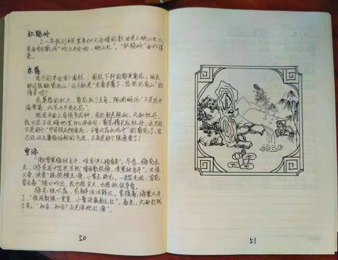 16岁男孩，为重病奶奶建花园，2年种了上百盆花！