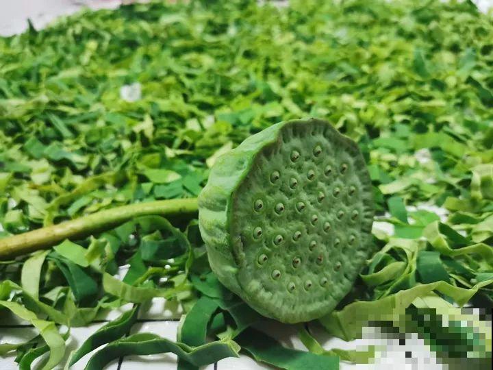 这花颜值高味还香，趁着没败摘两朵，用来做饭喷香！
