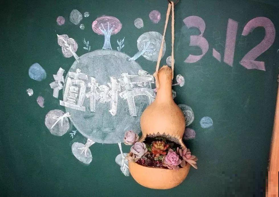 今年流行用它种多肉，不花一分钱，盆盆遭疯抢！