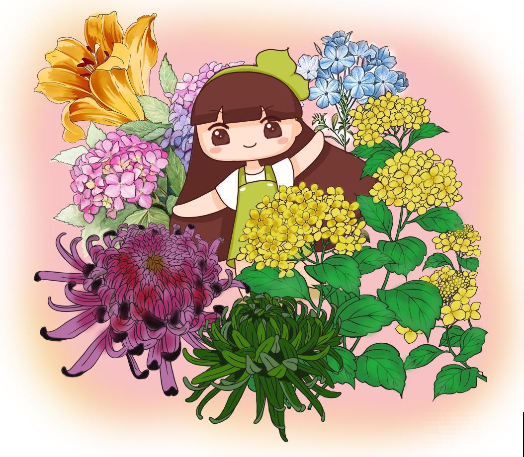 你们见过昙花开花吗？没有见过的，掐个叶，就能种！