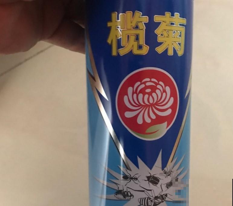 养一盆五彩小辣椒，能当盆栽还能食用，真是赚大了！